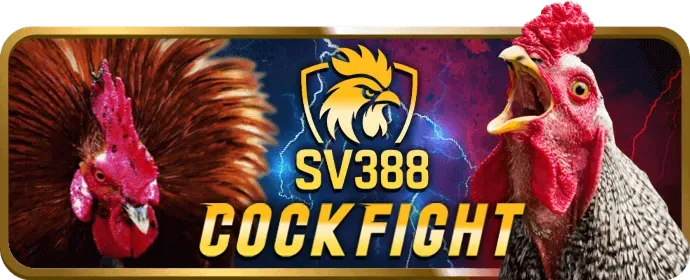 Sứ mệnh và tầm nhìn của 99ok3